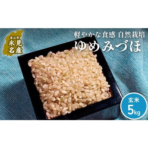 ふるさと納税 玄米 富山県 氷見市 交響するお米 [玄米]自然栽培 ゆめみづほ 5kg(富山県 氷見市 / 令和7年産) | 移住農家が里山から直送 米 ブランド米