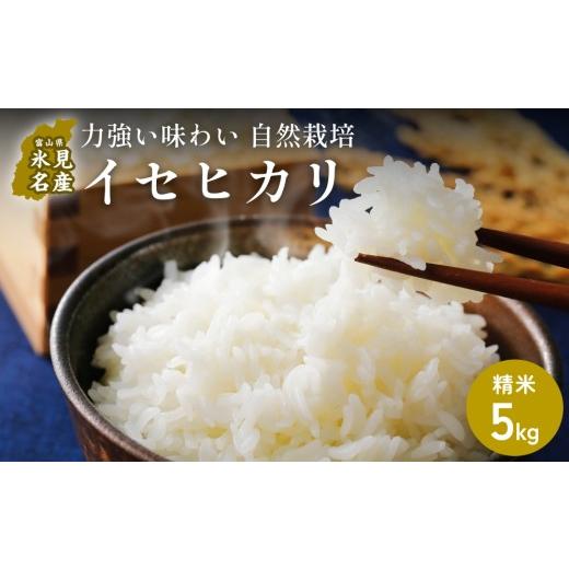 ふるさと納税 米 富山県 氷見市 交響するお米 [精米]自然栽培 イセヒカリ 5kg(富山県 氷見市 / 令和7年産) | 移住農家が里山から直送 米 白米 ブランド…