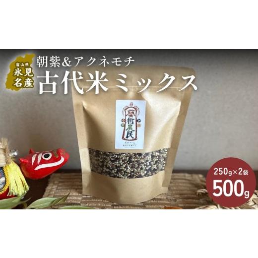 ふるさと納税 米 富山県 氷見市 交響するお米 [古代米ミックス]自然栽培 朝紫&amp;アクネモチ 250g×2袋( 令和7年産 ) 富山県 氷見市 | 移住農家が里山か…