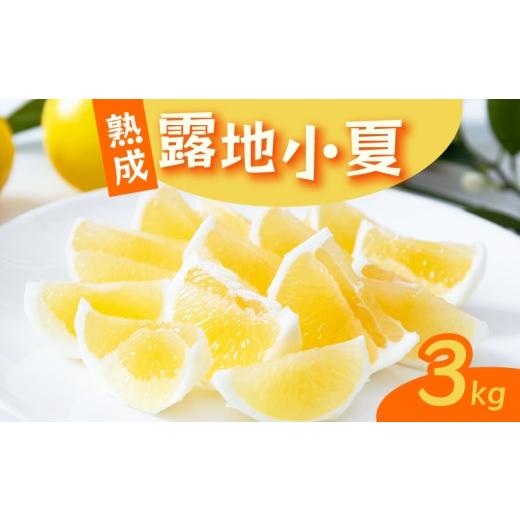 ふるさと納税 みかん・柑橘類 高知県 室戸市 2026年5月より発送 熟成 露地小夏 3kg | 柑橘 フルーツ 果物 期間限定 旬の果物 ご家庭用 生産者 農家 直送 高知…