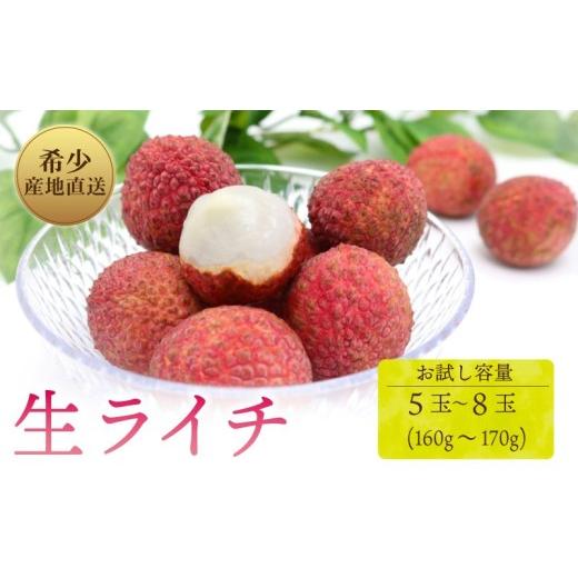 ふるさと納税 いちじく 高知県 室戸市 令和8年6月上旬頃より発送 先行予約 お試しパック 生ライチ 国産 室戸海洋深層水使用 ライチ 果物 くだもの 季節限定 …