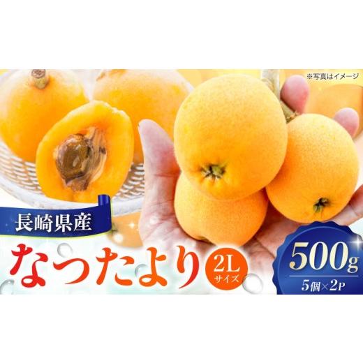 ふるさと納税 果物類 びわ 長崎県 - 長崎県産びわ なつたより500g(2Lサイズ5個×2P)長崎県/やまぐち農園 42AACQ001 びわ ビワ 枇杷 果物 フルーツ なつたよ…