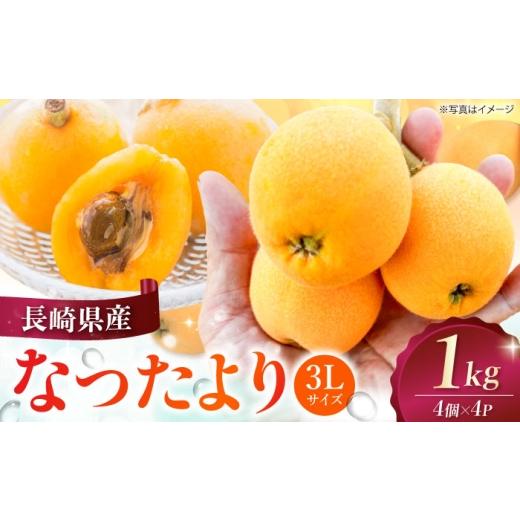 ふるさと納税 果物類 びわ 長崎県 - 長崎県産びわ なつたより1kg(3Lサイズ4個×4P) 長崎県/やまぐち農園 42AACQ002 びわ ビワ 枇杷 果物 フルーツ なつた…