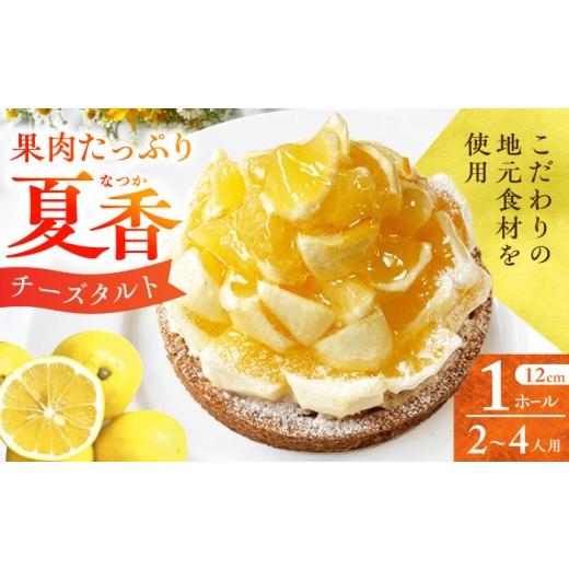 ふるさと納税 ケーキ・カステラ タルト 長崎県 - 先行予約 5〜8月発送 平戸特産夏香チーズタルト 1ホール(12cm・2〜4人用) 長崎県/心優-CotoyuSweets- 42AFA…