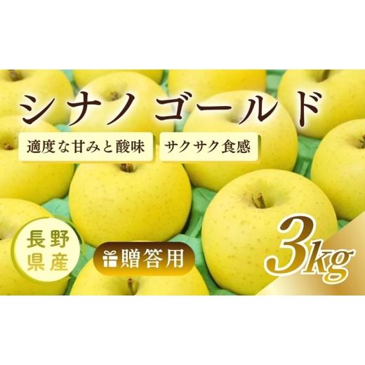 ふるさと納税 りんご 長野県 上田市 りんご シナノゴールド 3kg 贈答用 信州 フルーツ 果物 林檎 リンゴ くだもの 旬の果物 旬のフルーツ 信州産 長野県産 長…