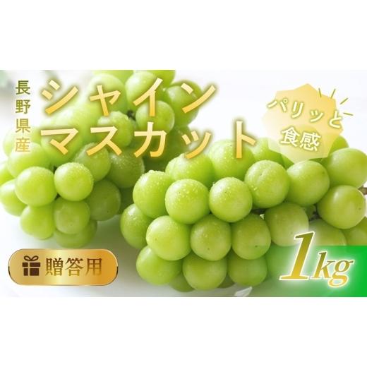 ふるさと納税 ぶどう 長野県 上田市 シャインマスカット 1kg 贈答用 信州 フルーツ 果物 ぶどう ブドウ 葡萄 マスカット くだもの 旬の果物 旬のフルーツ 信…