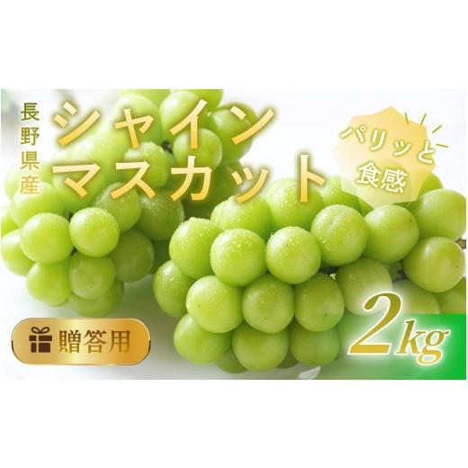 ふるさと納税 ぶどう マスカット 長野県 上田市 シャインマスカット 2kg 贈答用 信州 フルーツ 果物 ぶどう ブドウ 葡萄 マスカット くだもの 旬の果物 旬の…