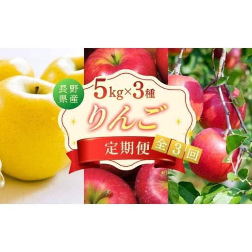 ふるさと納税 りんご 長野県 上田市 りんご5kg 3ヶ月定期便 スイート ゴールド サンふじ 贈答用 信州 フルーツ 果物 3回 シナノスイート シナノゴールド 林檎…
