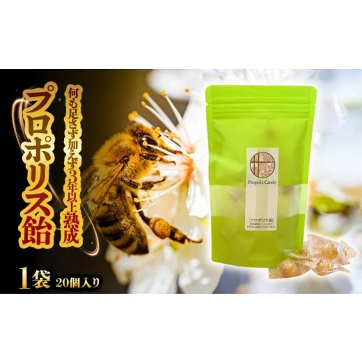ふるさと納税 飴(あめ) 岐阜県 瑞浪市 プロポリス飴 1袋 20個入り 瑞浪市 / 株式会社サンビートゥエンティーワン プロポリス 飴 蜂