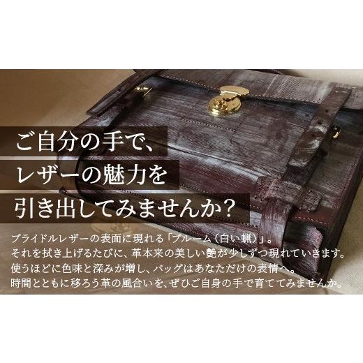ふるさと納税 カバン 手提げ 鹿児島県 南大隅町 職人仕立て ブライドルレザーブリーフケース 6色から 選べる カラー BA7409 ｜ ブライドルレザー ブリーフケ…_2