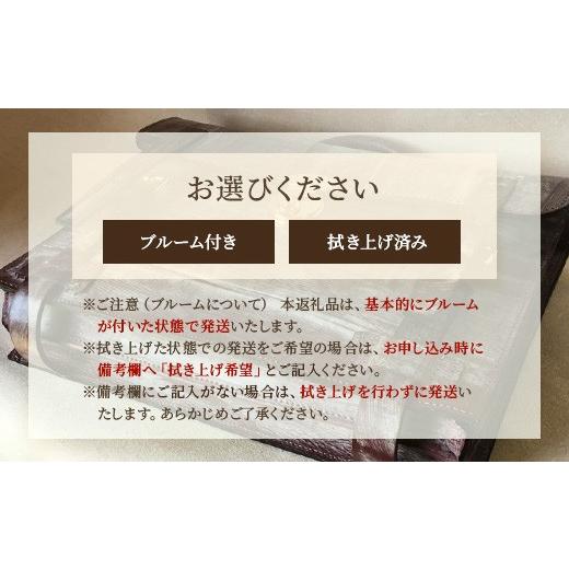 ふるさと納税 カバン 手提げ 鹿児島県 南大隅町 職人仕立て ブライドルレザーブリーフケース 6色から 選べる カラー BA7409 ｜ ブライドルレザー ブリーフケ…_6