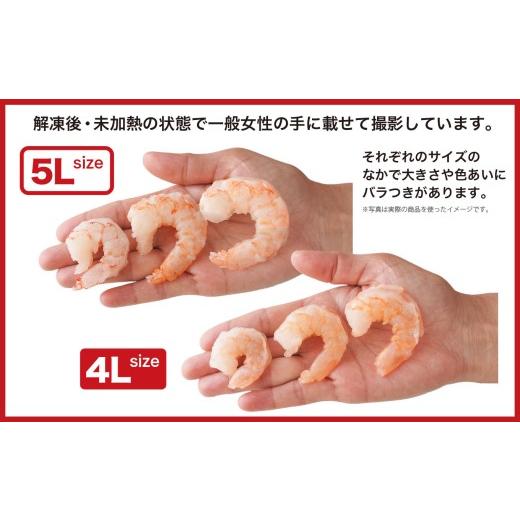 ふるさと納税 エビ 三重県 尾鷲市 大粒 むきえび 5Lサイズ 1.32kg