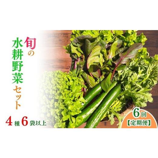 ふるさと納税 セット・詰合せ 京都府 亀岡市 9月発送 [定期便6回]旬の水耕野菜セット 4種6袋以上 京都 亀岡産 産地直送 詰め合わせ 冷蔵 季節の野菜 やさい…