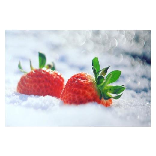 ふるさと納税 アイス・ヨーグルト シャーベット 新潟県 湯沢町 湯沢いちご村 冷凍いちご 越後姫(えちごひめ)1kg 地場産品