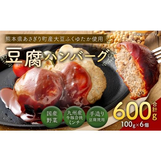 ふるさと納税 肉 ハンバーグ 熊本県 あさぎり町 豆腐ハンバーグセット100g × 6個入 豆腐ハンバーグ 冷凍 電子レンジ対応 小分けで便利 ヘルシー 国産 | 熊本…