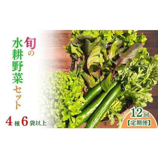 ふるさと納税 セット・詰合せ 京都府 亀岡市 4月発送 [定期便12回]旬の水耕野菜セット 4種6袋以上 京都 亀岡産 産地直送 詰め合わせ 冷蔵 季節の野菜 やさ…