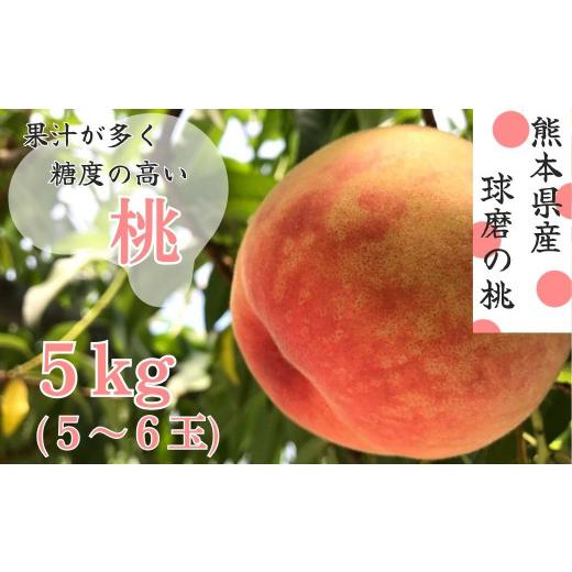 ふるさと納税 もも 熊本県 あさぎり町 先行受付 発送時期:2026年5月下旬〜6月下旬 熊本県JAくま産 球磨の桃 1kg(5玉〜6玉 旬な品種)