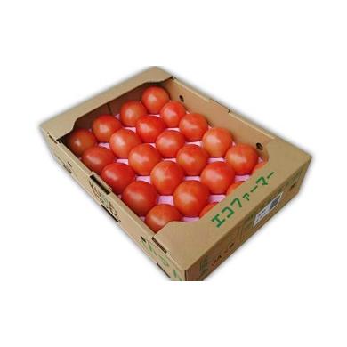 ふるさと納税 野菜類 トマト 熊本県 あさぎり町 熊本県JAくま産 球磨のトマト 4kg 先行受付 2027年1月中旬〜3月中旬迄発送予定