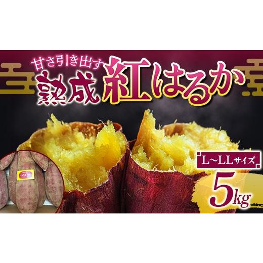 ふるさと納税 野菜類 サツマイモ 福島県 須賀川市 甘さ引き出す 熟成紅はるか 5kg さつまいも L〜LLサイズ サツマイモ さつま芋 甘い おやつ 食品 F7X-0792 L…