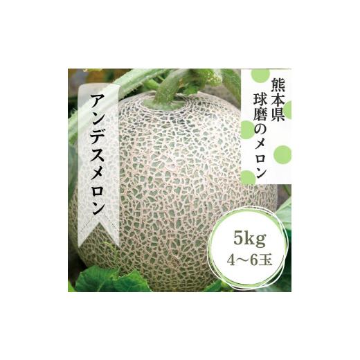 ふるさと納税 メロン メロン青肉 熊本県 あさぎり町 熊本県JAくま産 アンデスメロン5kg(4玉〜6玉) 先行受付 発送時期:2026年5月上旬〜5月下旬
