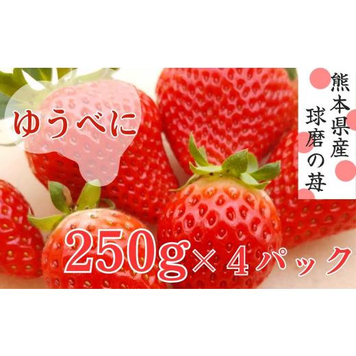 ふるさと納税 いちご 熊本県 あさぎり町 熊本県JAくま産 球磨の苺 250g×4パック 先行受付 発送時期:2027年1月中旬〜2月中旬発送