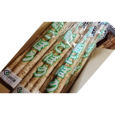 ふるさと納税 人参・大根・他根菜 熊本県 あさぎり町 熊本県JAくま産 球磨の新ごぼう 3kg 先行受付 2027年1月中旬〜3月中旬迄発送予定