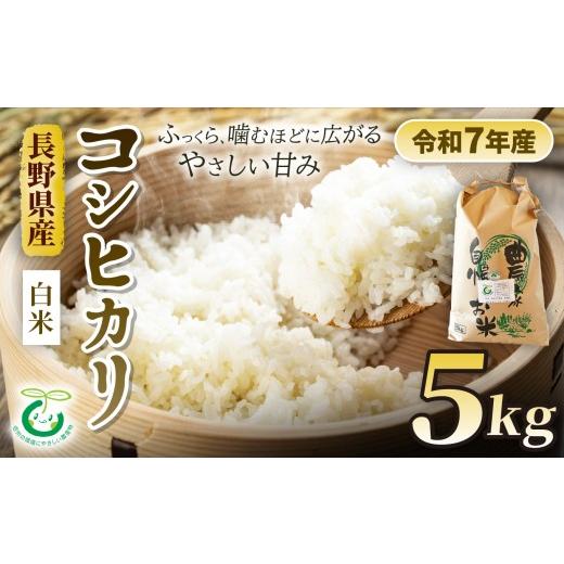ふるさと納税 米 コシヒカリ 長野県 松川村 コシヒカリ 約5kg 白米 信州 安曇野 松川村産 特別栽培米 | そば処こうや 米 こめ コメ お米 白米 特別栽培米 コシ…