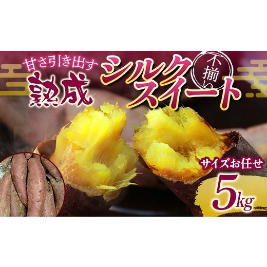 ふるさと納税 野菜類 サツマイモ 福島県 須賀川市 甘さ引き出す 不揃い 熟成シルクスイート 5kg さつまいも サイズお任せ サツマイモ さつま芋 甘い おやつ 食…