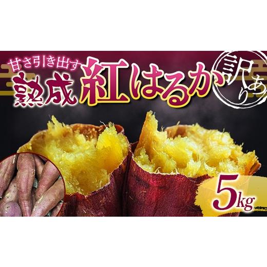 ふるさと納税 野菜類 サツマイモ 福島県 須賀川市 甘さ引き出す サイズ不揃い 熟成紅はるか 5kg さつまいも 訳アリ サツマイモ さつま芋 甘い おやつ 食品 F7X…