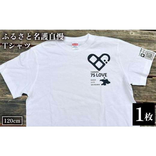 ふるさと納税 服 子ども 沖縄県 名護市 ふるさと名護自慢Tシャツ キッズサイズ 120cm お揃い コーデ ファッション インナー ウェア 贈り物 プレゼント 洋服 T…