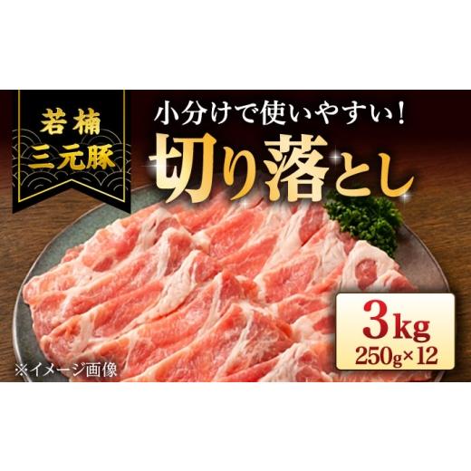 ふるさと納税 豚肉 炒め物 佐賀県 武雄市 若楠三元豚 切り落とし 3kg(250g×12p)/ナチュラルフーズ UBH124 豚肉 豚 小間切れ こま切れ 小分け 豚切り落とし…