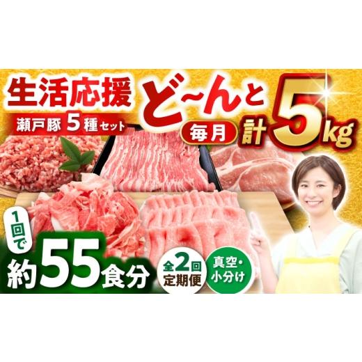 ふるさと納税 豚肉 ロース 愛知県 瀬戸市 全2回定期便 瀬戸豚 生活応援セット 計5kg / 豚肉 豚バラ しゃぶしゃぶ ミンチ セット 小分け / 瀬戸市 / 関屋精…