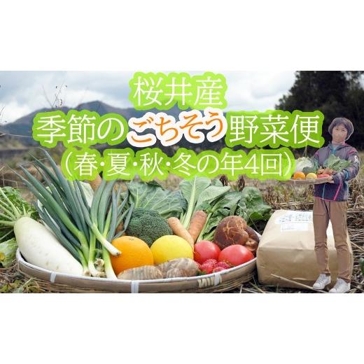 ふるさと納税 セット・詰合せ 奈良県 桜井市 DE-4. 大和高原地域で栽培 桜井産季節のごちそう野菜便(春・夏・秋・冬の年4回発送)生産者カード付き