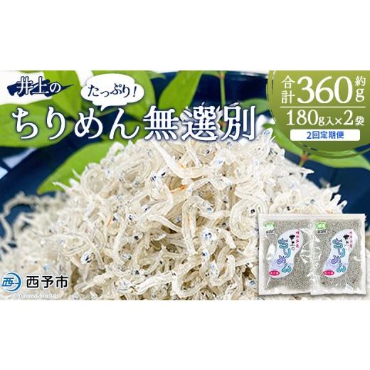ふるさと納税 魚貝類 ちりめん 愛媛県 西予市 井上のちりめん 無選別 合計約360g(180g入り×2袋)2回定期便 ちりめんじゃこ タコ エビ イカ 稚魚 バラバラ …