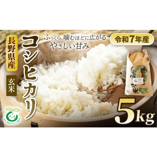 ふるさと納税 玄米 長野県 松川村 コシヒカリ 玄米 約5kg 信州 安曇野 松川村産 特別栽培米 | そば処こうや 米 こめ コメ お米 玄米 コシヒカリ こしひかり ラ…