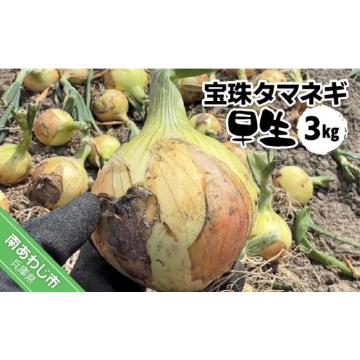 ふるさと納税 野菜類 玉ねぎ 兵庫県 南あわじ市 宝珠タマネギ 早生 3キロ 5月下旬から発送