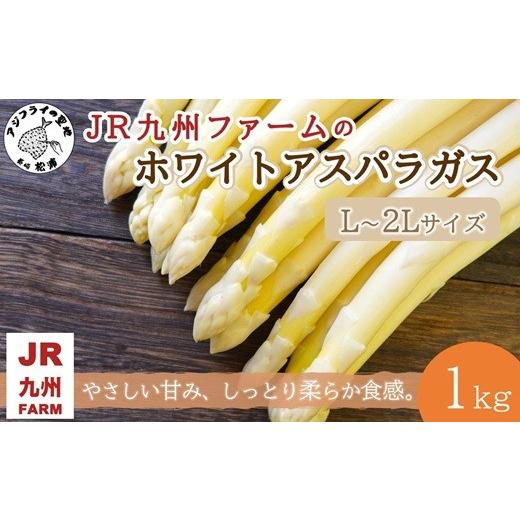 ふるさと納税 野菜類 アスパラガス 長崎県 松浦市 JR九州ファームのホワイトアスパラガス L〜2Lサイズ 1kg ( アスパラガス ホワイトアスパラガス 国産 送料無…