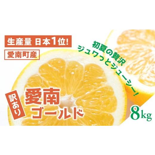 ふるさと納税 みかん・柑橘類 愛媛県 鬼北町 訳あり 愛南ゴールド(河内晩柑)8kg | 柑橘 訳あり 詰め合わせ 家庭用 みかん かわちばんかん 果物 ジューシー …