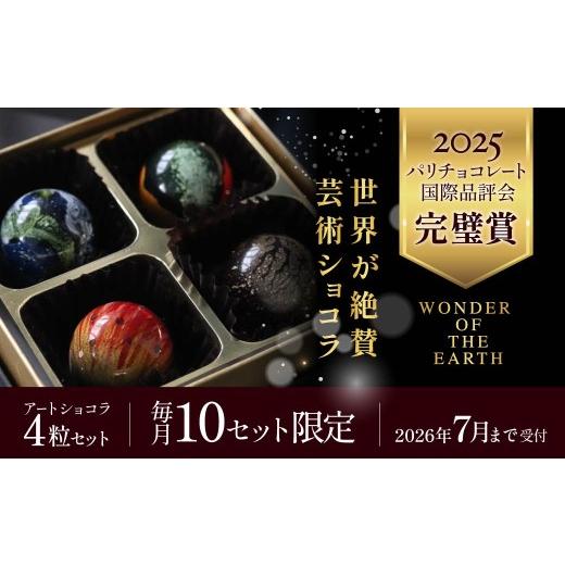 ふるさと納税 菓子 チョコレート 群馬県 前橋市 チョコ フランス・パリの品評会 パーフェクト賞受賞 アートショコラ 4 粒セット |最高級 世界 認める ショコ…