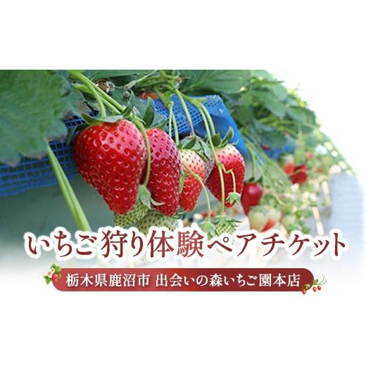 ふるさと納税 体験チケット 栃木県 鹿沼市 出会いの森いちご園本店 いちご狩り体験 ペアチケット | いちご イチゴ 苺 栃木県 果物 くだもの フルーツ とちおと…