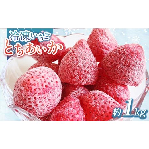 ふるさと納税 いちご 栃木県 鹿沼市 出会いの森いちご園 冷凍いちご (1kg) | いちご イチゴ 苺 栃木県 果物 くだもの フルーツ とちあいか 新鮮 贈答 ギフト…