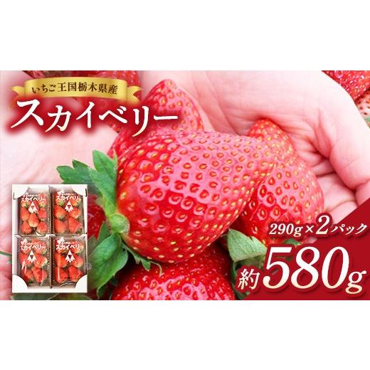 ふるさと納税 いちご 栃木県 鹿沼市 先行予約 出会いの森いちご園 スカイベリー (290g×2パック) | いちご イチゴ 苺 栃木県 果物 くだもの フルーツ スカ…