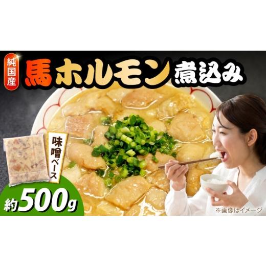 ふるさと納税 馬肉 熊本県 合志市 純国産馬 馬ホルモン煮込み 約500g / 馬肉 ホルモン 煮込み 熊本県 合志市 株式会社古閑ファーム