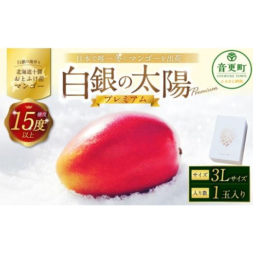 ふるさと納税 マンゴー 北海道 音更町 [ 先行受付 ] おとふけ産マンゴー 「 白銀の太陽プレミアム 」 3Lサイズ × 1玉 D61 [2026年11月上旬より発送開始予…
