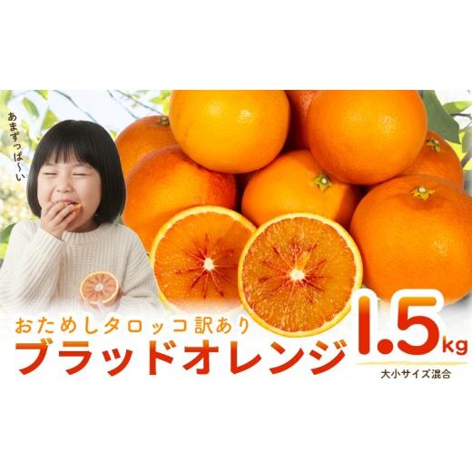 ふるさと納税 みかん・柑橘類 オレンジ 高知県 安芸市 みかん おためし 訳あり ブラッドオレンジ タロッコ オレンジ 1.5kg みかん 蜜柑 フルーツ 果物 みかん…