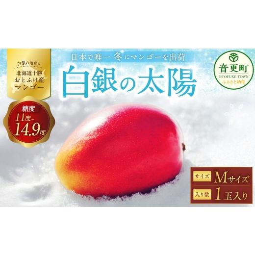 ふるさと納税 マンゴー 北海道 音更町 [ 先行受付 ] おとふけ産マンゴー 「 白銀の太陽 」 Mサイズ × 1玉 A132 [2026年11月上旬より発送開始予定]