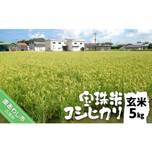 ふるさと納税 米 コシヒカリ 兵庫県 南あわじ市 宝珠米コシヒカリ 玄米5キロ