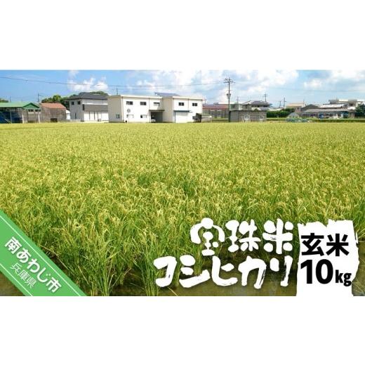 ふるさと納税 米 コシヒカリ 兵庫県 南あわじ市 宝珠米コシヒカリ 玄米10キロ