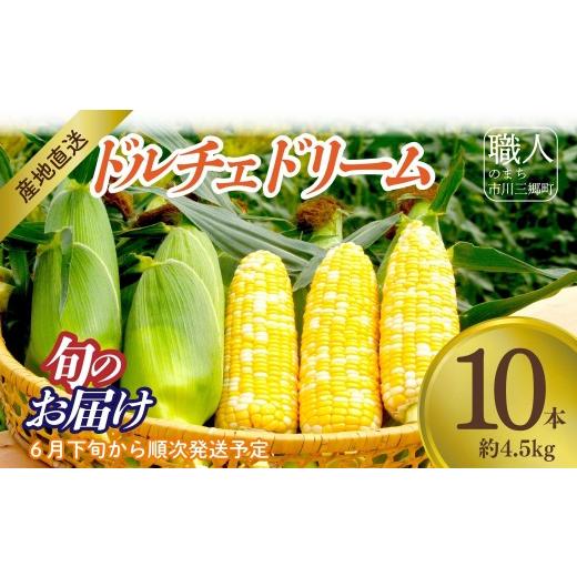 ふるさと納税 とうもろこし 山梨県 市川三郷町 6月下旬発送 1株1果どりの"極甘ドルチェドリーム" 朝採れ直送便 アグリ甲斐