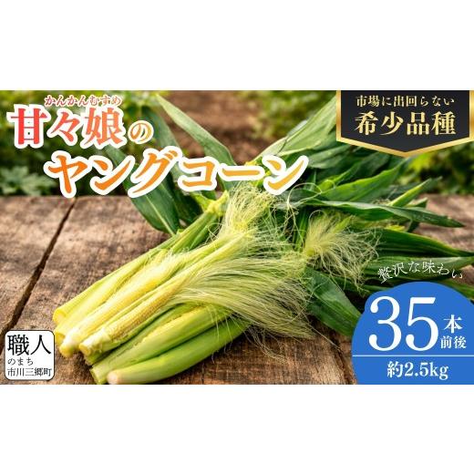 ふるさと納税 とうもろこし 山梨県 市川三郷町 朝採れ甘々娘のヤングコーン|甘々娘生誕の地市川三郷町からお届け アグリ甲斐